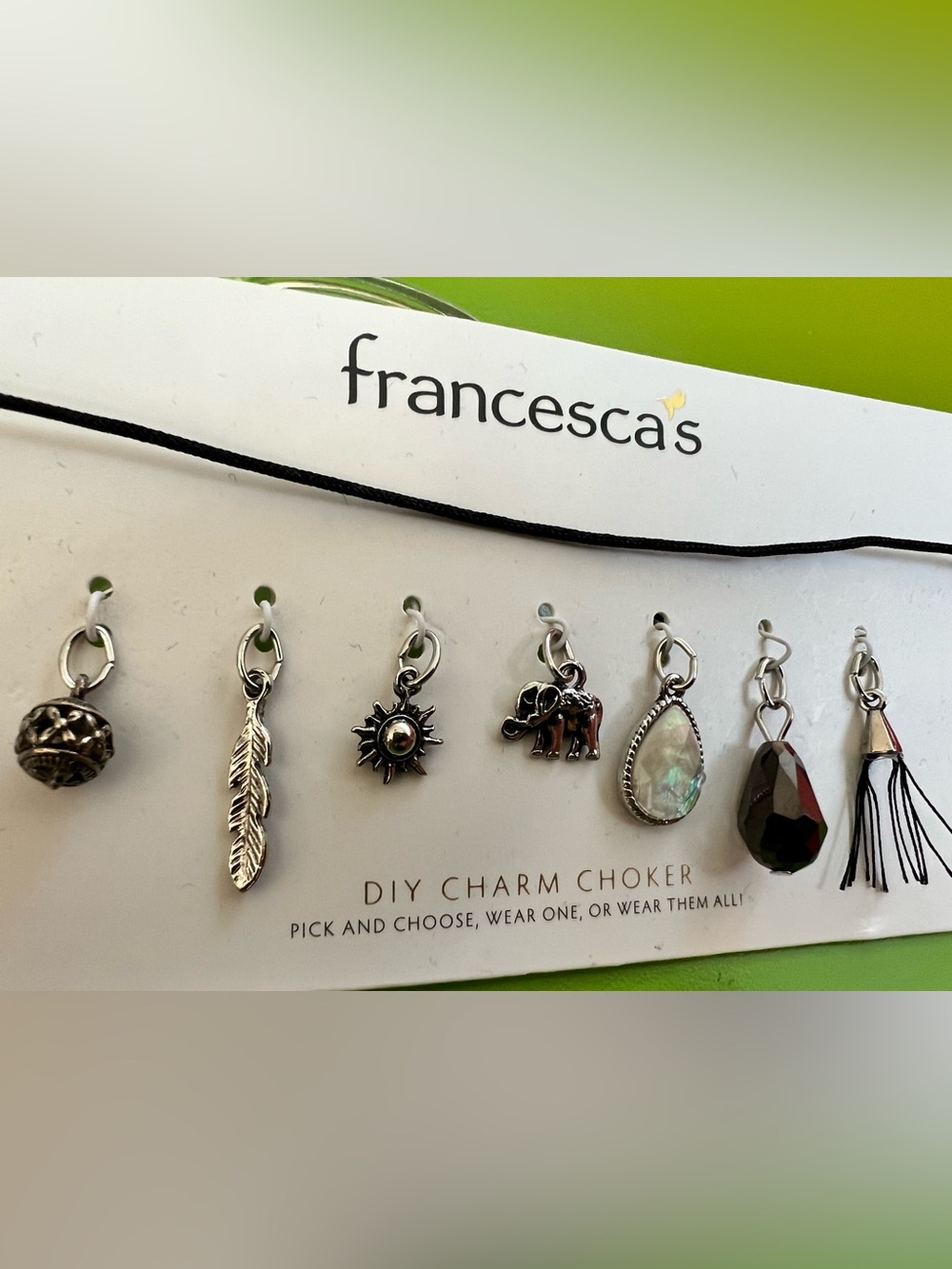 Francesca's Collections DIY Charm Choker Set Silver & Black dainty necklace NEW